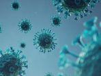 apa-itu-corona-b117-virus-baru-yang-disebut-lebih-cepat-menular-berikut-penjelasan-dan-gejalanya.jpg