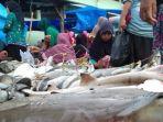 baby-shark-atau-bayi-hiu.jpg