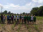 banua-to-ciung-bersama-petani-melakukan-penyemprotan.jpg