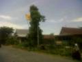bendera-golkar-di-wajo.jpg