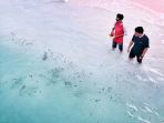 beri-makan-ikan-hiu_20161226_231243.jpg<pf>anak-ikan-hiu_20161226_231331.jpg<pf>ikan-hiu-di-tinabo_20161226_231517.jpg<pf>kapal-kayu-berlayar_20161226_231631.jpg<pf>pelabuhan-pattumbukan-di-bontosikuyu_20161226_231733.jpg<pf>penumpang-perahu-kayu-di-pattumbukan_20161226_231808.jpg<pf>pantai-pulau-tinabo-selayar_20161226_231941.jpg