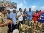 berkat-program-korporasi-jagung-lampung-timur-siap-jadi-sentra-benih.jpg