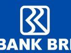 besok-terakhir-segera-daftar-lowongan-kerja-bank-bri-penempatan-di-6-kota-besar-cek-syarat-link.jpg