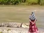 buaya-berkalung-ban-di-kota-palu-kembali-muncul-dan-terekam-kamera-warga.jpg