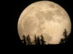 bulan_20161113_180241.jpg