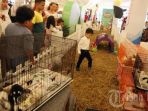 bunny-land_20170414_212627.jpg<pf>bunny-land_20170414_212647.jpg