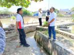 bupati-sidrap-sidak-bbi-rijang-pittu.jpg