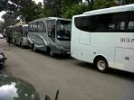bus-pelayat-1.jpg