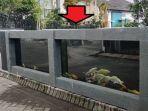 cerita-pria-di-malang-bikin-pagar-dari-kolam-ikan-koi-harga-ikan-di-kolam-hingga-rp-5-juta-per-ekor.jpg