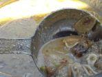 coto-kerang-pulau-salemo-desa-mattiro-bombang.jpg