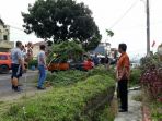 cpared_20170714_145905.jpg