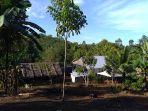 cuaca-di-kampung-likudengen.jpg