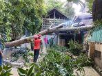 Hujan Deras Disertai Angin Kencang Akibatkan Pohon Tumbang Timpa Rumah Warga di Sinjai Utara