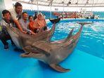 dolphinarium-di-kota-pattaya-menjadi-pilihan-kunjungan-rombongan-media-dari-indonesia.jpg