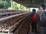 dosen-unibos-melakukan-pengembangan-agribisnis-dalam-bidang-peternakan-unggas.jpg