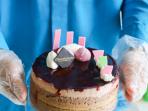 duo-chocolate-strawberry-chocolicious_20160831_094347.jpg