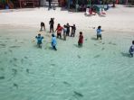 field-trip-ke-pulau-tinabo_20171120_194018.jpg