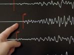 gempa-bumi-situbondo-jawa-timur_20181011_103329.jpg