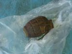 granat-nanas_20180205_124228.jpg