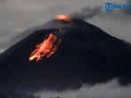 gunung-semeru-meletus.jpg