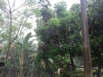 hujan-takalar_20160626_155626.jpg
