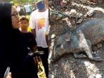 ibu-ibu-tuduh-tetangga-babi-ngepet-depok.jpg