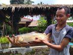 ikan-dewa-imlek-tionghoa-1-2212020.jpg