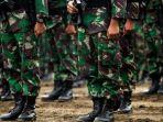 ilustrasi-anggota-tni-51029292.jpg