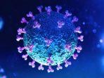ilustrasi-norovirus-13102020.jpg