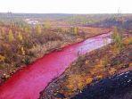 ilustrasi-sungai-warna-merah-darah.jpg