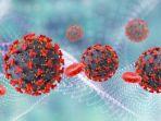 ilustrasi-virus-2382021.jpg