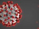 ilustrasi-virus-corona-9.jpg