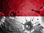 ilustrasi-virus-corona-atau-covid-19-di-indonesia-bendera.jpg