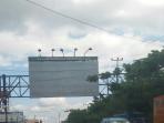 jalan-bulukumba-1.jpg