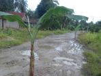 jalan-rusak-4677_20170711_141254.jpg