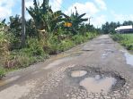 jalan-rusak-wajo_20180617_190213.jpg