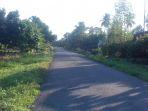 jalan-utama-di-desa-sumpira-kecamatan-baebunta-selatan-sudah-diaspal.jpg