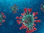 jika-merasa-terpapar-virus-corona-begini-cara-mengisolasi-diri-sendiri.jpg