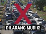 jokowi-larang-mudik-luhut-binsar-pandjaitan-jalan-tol-tak-ditutup-1-204.jpg