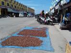 kakao-di-luwu-utara_20160907_130736.jpg