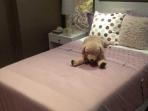 kamar1_20161020_093014.jpg