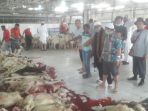 kambing_20170903_232449.jpg