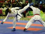 karate-3.jpg