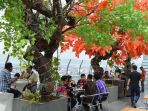 karebosi_20170727_171448.jpg