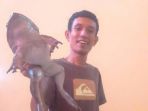 katak-raksasa_20170502_154647.jpg