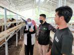 kehadiran-program-sentra-ternak-dd-farm-dari-dompet-dhuafa.jpg