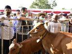 kejar-swasembada-daging-sapi-mentan-syl-panen-pedet-di-lombok-tengah-ntb.jpg