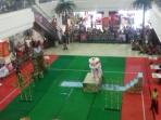 kejuaraan-barongsai-celebes-open-2016_20160326_170114.jpg