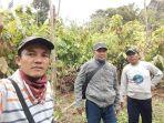 kepala-bidang-perkebunan-mukhtar-me3.jpg