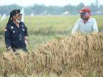 ketika-mentan-syl-dialog-dengan-petani-di-kabupaten-karawang.jpg